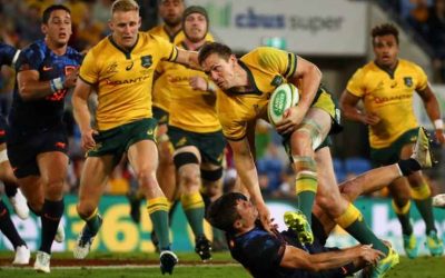 rugby betting australia