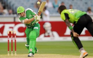 cricket Melbourne Stars